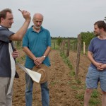 Blessing of a young vineyard