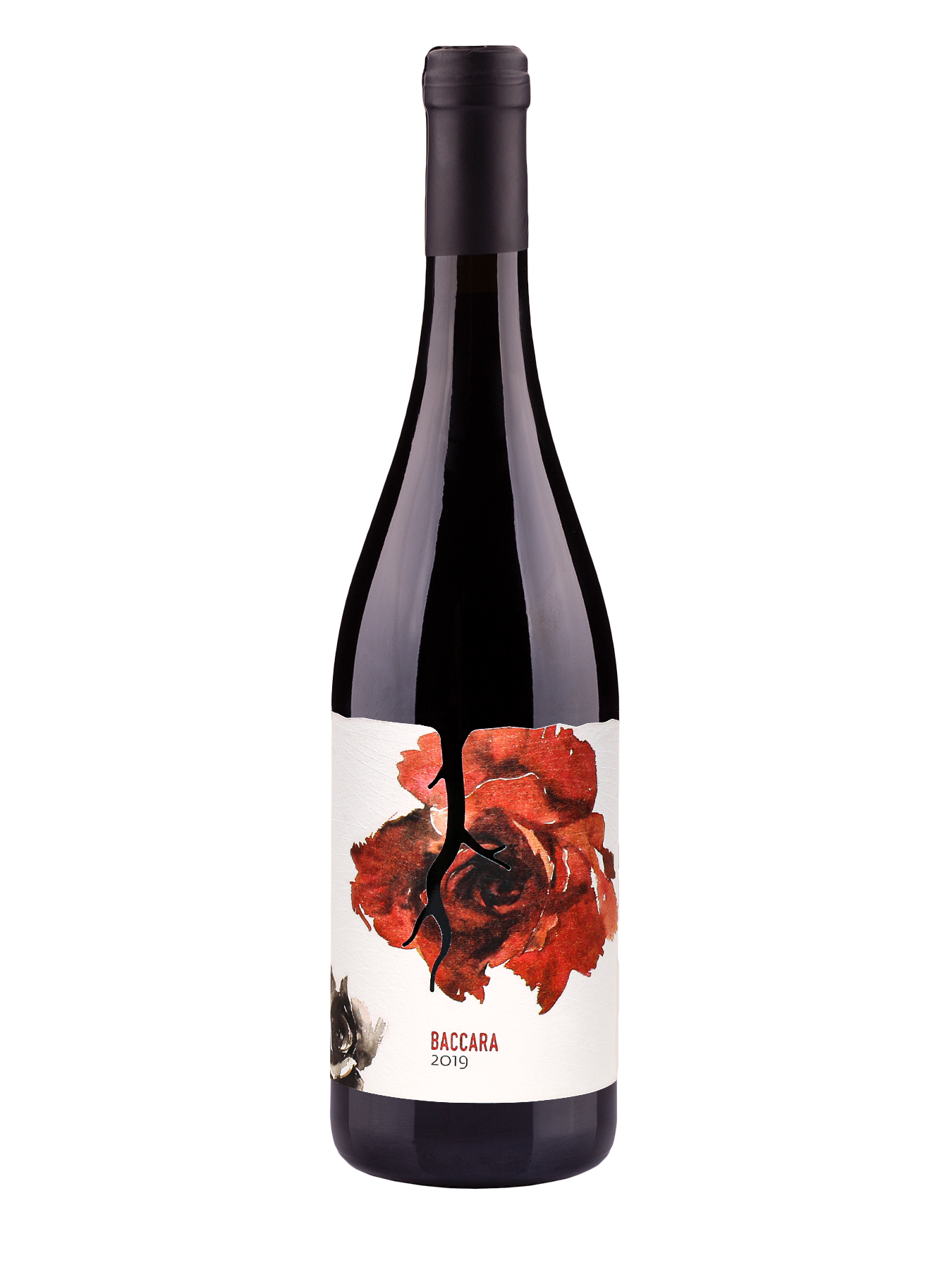 Baccara 2019