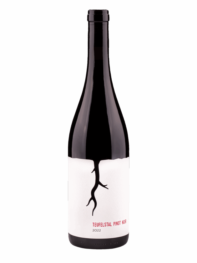 Teufelstal Pinot noir 2022