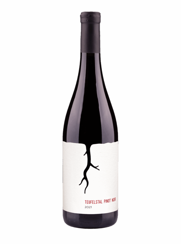Teufelstal Pinot noir 2021